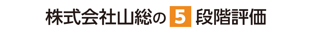 5段階評価